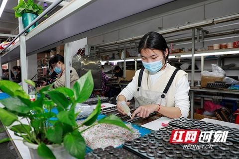 湖南新田 社區(qū) 微工廠(chǎng) 靈活促就業(yè) 組圖