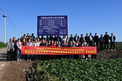 綠色防控，“薯”來(lái)運(yùn)轉(zhuǎn)——河南省農(nóng)科院植保所召開(kāi)甘薯病蟲(chóng)害綠色防控培訓(xùn)觀摩會(huì)